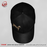 CHAAM persian cap They give you health design 55571