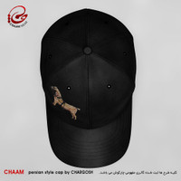 CHAAM persian cap They give you health design 55572