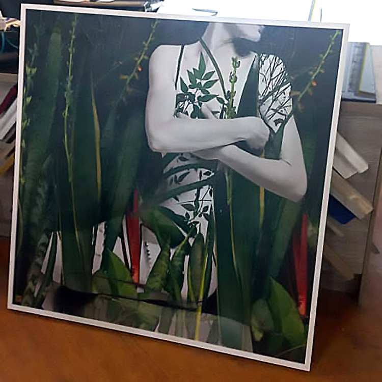 تابلو پیکره ای سفید در آغوش گل و گیاهان سبز با صورتی نیمه پیدا که به سمت راست مینگرد گالری چارگوش مدل 2315 در حال قابسازی