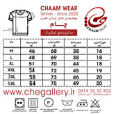 تیشرت مردانه سنتی با شعر از دل تو در دل من نکته هاست برند چام از گالری چارگوش 6631